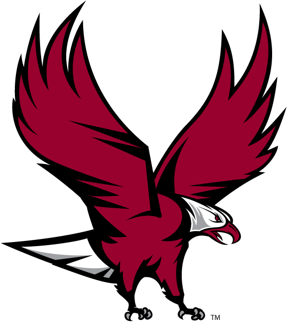 NCCU Eagles 2006-Pres Partial Logo iron on transfers for T-shirts